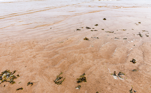 Waves on Seaton Sluice beach.