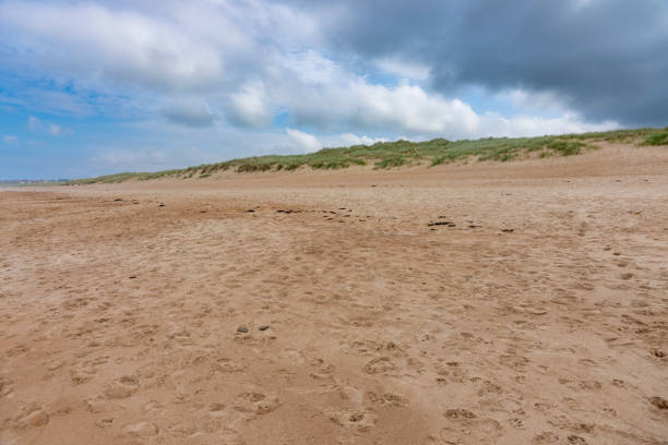 Sand Dunes at Seaton Sluice beach.