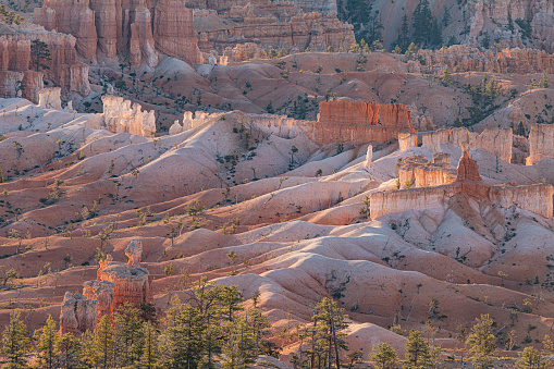 scenic view to the hoodoos in the Bryce Canyon national Park, Utah, USA