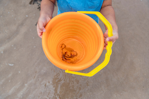 A close-up shot of an unrecognisable young girl playing at a beach in Seahouses, Northumberland.  She is standing on the sand, holding a bucket with seawater and seaweed.