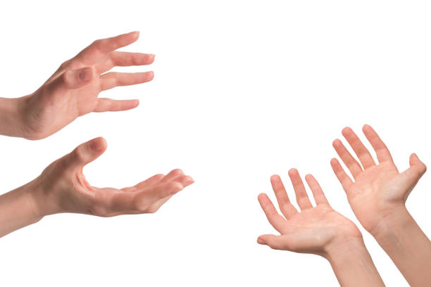 istock Woman hand isolated on a white background. 1417340993