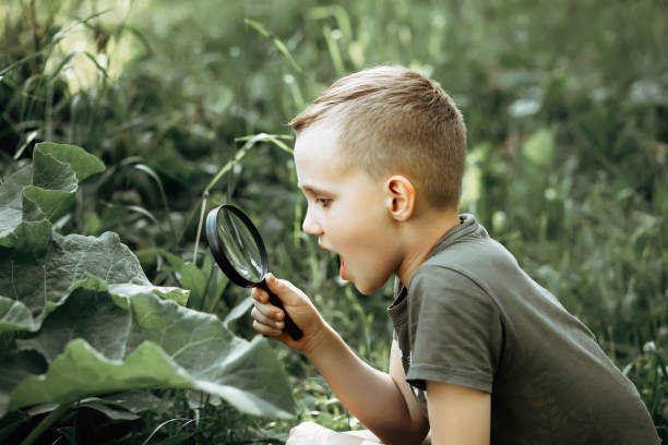 istock Caucasian Boy kid exploring nature environment with a magnifying glass loupe 1417342417