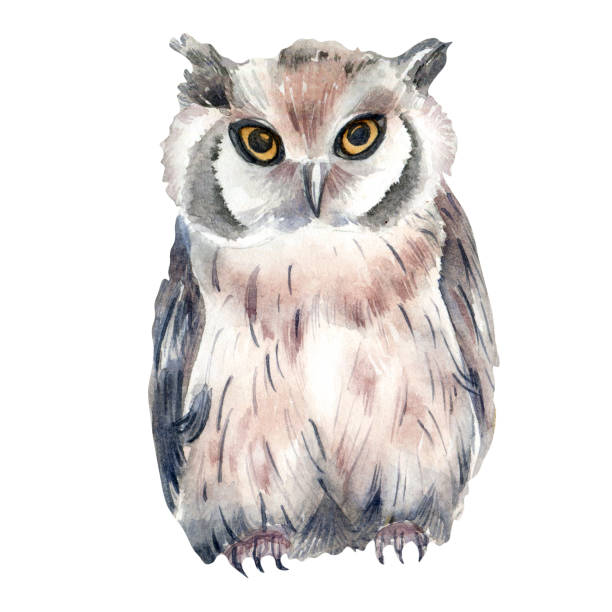 istock Wild animal owl watercolor illustration isolated on white background. 1417342516
