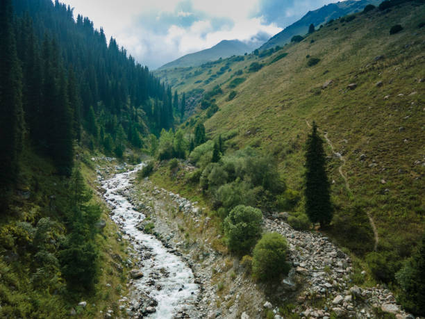istock Mountain river and forest in summer Kyrgyzstan 1417344392
