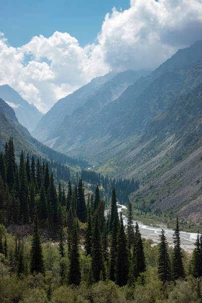 istock Mountain river and forest in summer Kyrgyzstan 1417344767