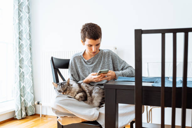 Love and care for pets, teenager and cat friends spend time together teenager girl with short haircut, in warm sweater and gray trousers, sits on chair at home, holds mobile phone in hands, domestic fluffy gray cat lies on knees short haired maine coon stock pictures, royalty-free photos & images