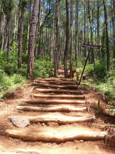 istock Stairs to Songgo Langit, Indonesia 1417347998