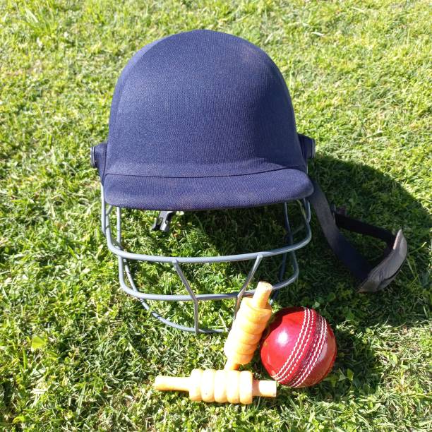 istock I don't like Cricket...I love it 1417352932