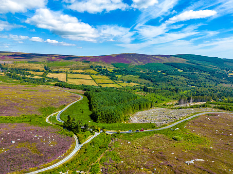 Road Junction in the Wicklow Mountains, Ireland