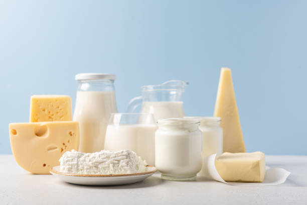 Variedade de laticínios em fundo azul Jarro de leite, queijo, manteiga, iogurte ou creme de leite, queijo cottage. Conceito de laticínios de fazenda fotos de estoque de laticínios, fotos e imagens livres de direitos
