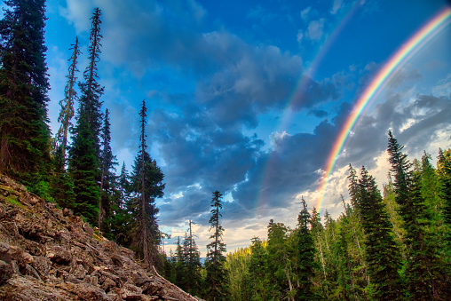 Rainbow in the Mountain Valley