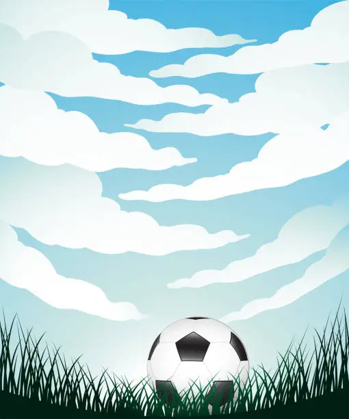 Vector illustration of Fisheye View of Clouds Grass and a Football