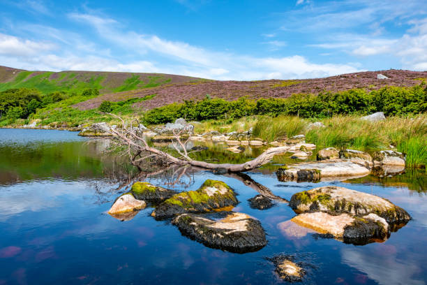Lough Bray Lower and Eagle's Crag in Wicklow Mountains, Ireland
