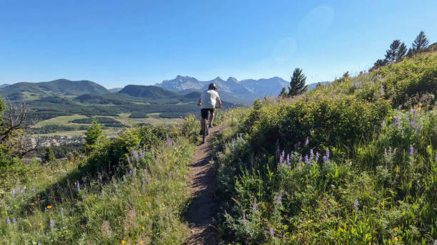 istock Mountain biker rides trail through mountain meadows 1417377318
