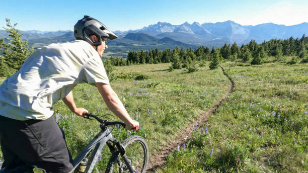 istock Mountain biker rides trail through mountain meadows 1417377563