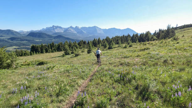 istock Mountain biker rides trail through mountain meadows 1417377637