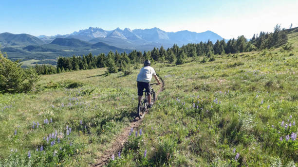 istock Mountain biker rides trail through mountain meadows 1417377654