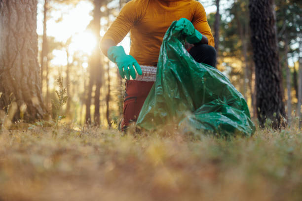 Man putting plastic bottle in bag in forest. stock photo