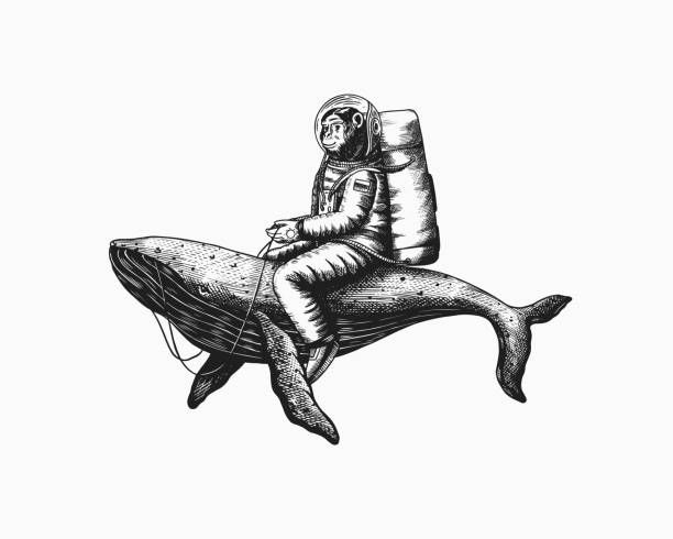 Monkey astronaut character. Chimpanzee spaceman cosmonaut. Fashionable animal. Hand drawn Engraved old monochrome sketch. Vector illustration for t-shirt, tattoo. Vector illustration