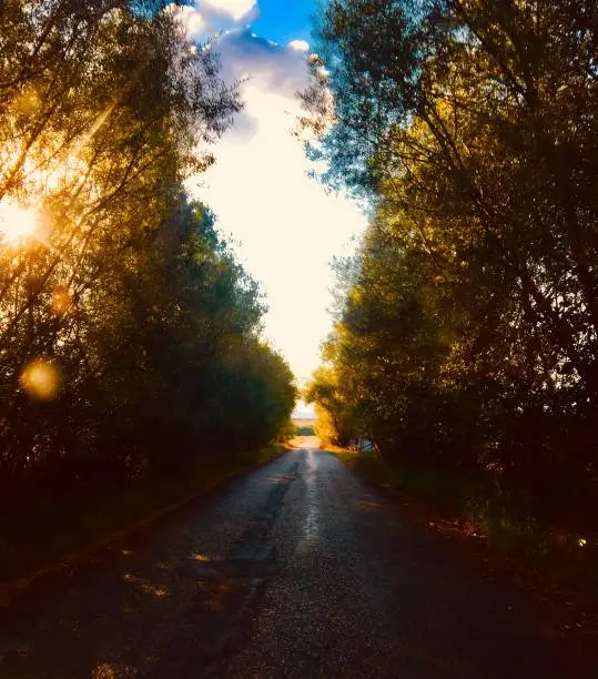 The Way to Travel at Sunset