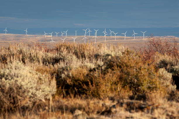 Wind farm in Western Wyoming in United States, Wyoming, Jonah