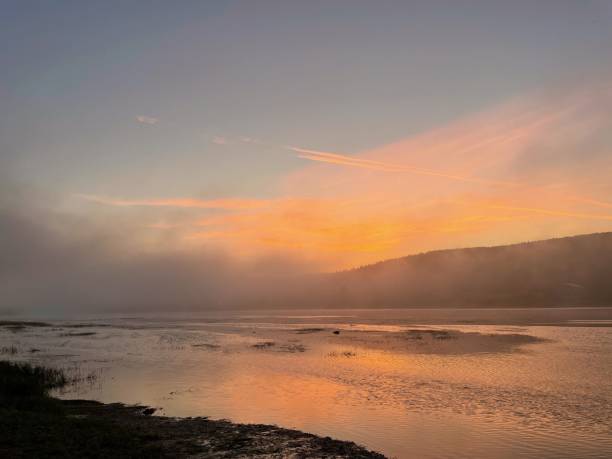 istock Sunrise and fog above the river 1417392680