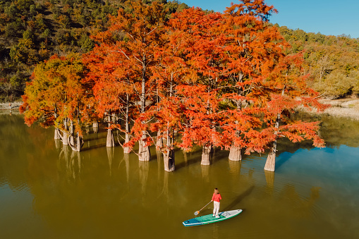 Aerial view with woman on SUP board on the lake with bright autumnal trees in water