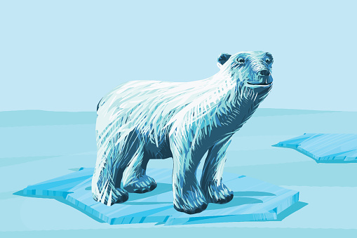 Concept of Polar bear, global warming