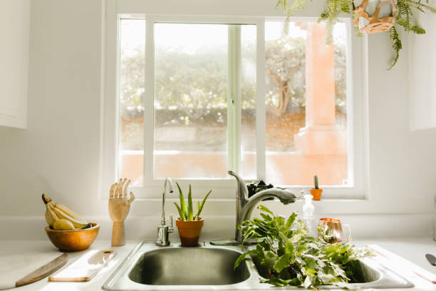 istock boho kitchen with house plants in kitchen sink to be watered 1417395774