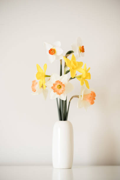 istock Mixed daffodils in a modern white bud vase 1417395874