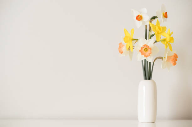 istock Mixed daffodils in a white simple bud vase 1417395883