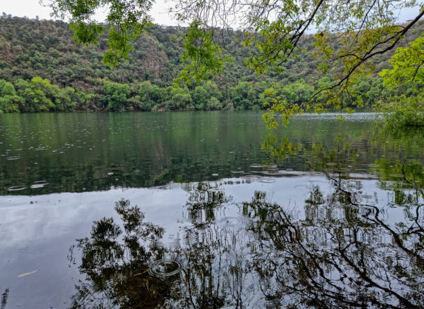 istock Calm rain passing through the trees and falling into the lake water. 1417396090