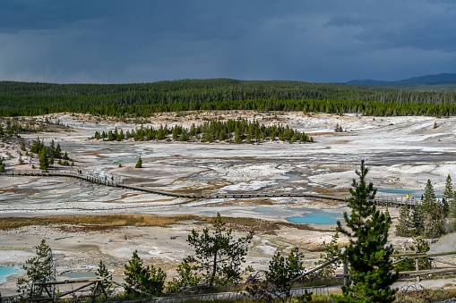 The Norris Geyser Basin in Yellowstone National Park, Wyoming in Yellowstone National Park, Wyoming, United States