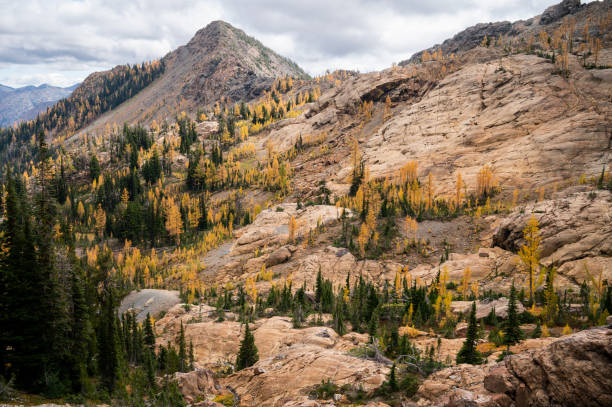 istock Scenic alpine basin with golden alpine larches in the fall 1417397776