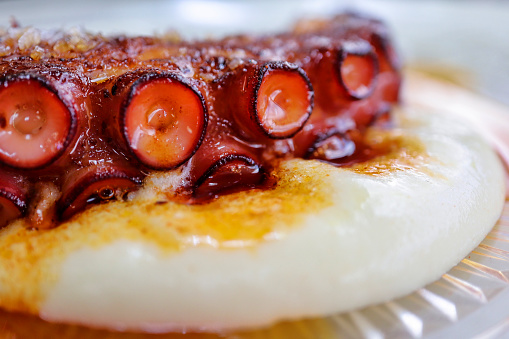 Grilled octopus on potato foam and paprika oil in Ortuella, Basque Country, Spain
