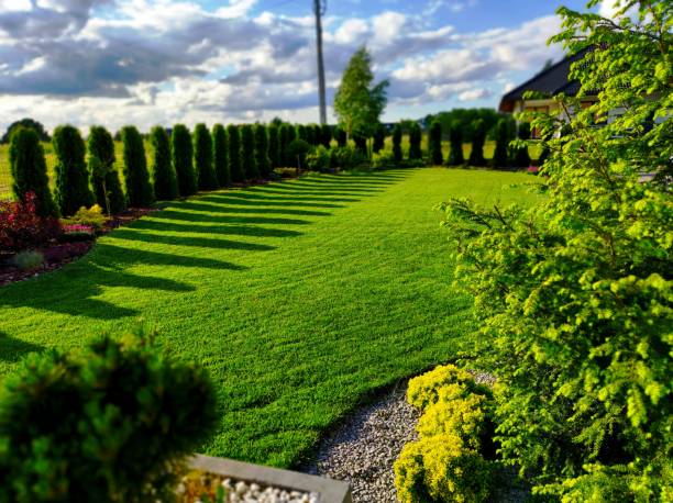 istock Modern garden in a suburban estate in spring 1417407102