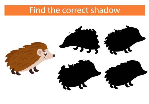 Cartoon hedgehog. Find the right shadow. Vector, cartoon style. Cartoon hedgehog. Find the right shadow. Educational game for children. Vector illustration, cartoon style. fungus network stock illustrations