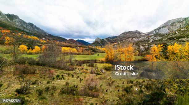 Beautiful Autumn Mountain Landscape Bello Paisaje Montañoso Otoñal Stock Photo - Download Image Now