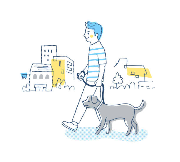 이웃에서 개를 산책하는 젊은 남자 - animal trainer stock illustrations