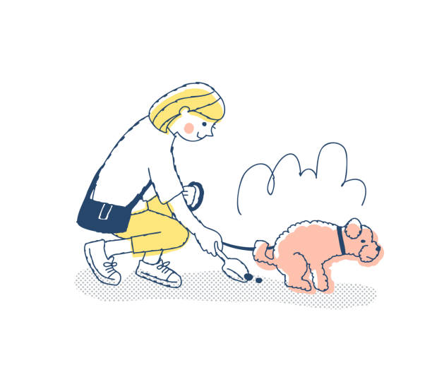 Woman picking up dog poop while walking Dog, pet, walk, excrement, disposal, woman, lifestyle, routine squat toilet stock illustrations