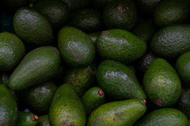 istock Fresh avocado. Fresh vegetables. avocado in supermarket. 1417417034