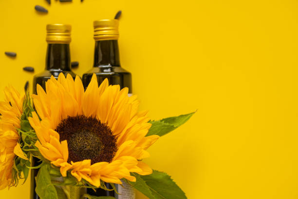 Sunflower oil. Oil bottles, scattered black sunflower seeds and sunflowers blooming on a bright yellow background.Sunflower oil mockup. Organic natural farm sunflower oil. Edible oils.top view aceite de girasol. botellas de aceite, semillas de girasol negras dispersas y girasoles que florecen sobre un fondo amarillo brillante. maqueta de aceite de girasol. aceite de girasol ecológico natural de granja. vista de oils.top comestible