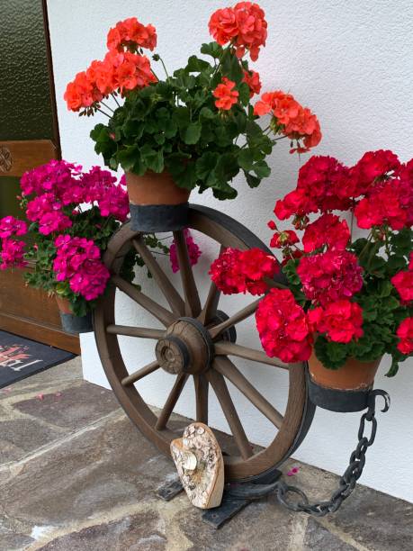 istock Decorative wooden wheel with flowers 1417421166