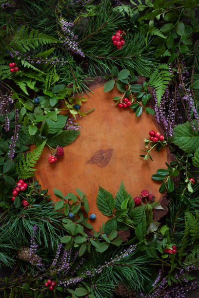 Forest berries, pine branches with cones, forest heather and fern on a brown background