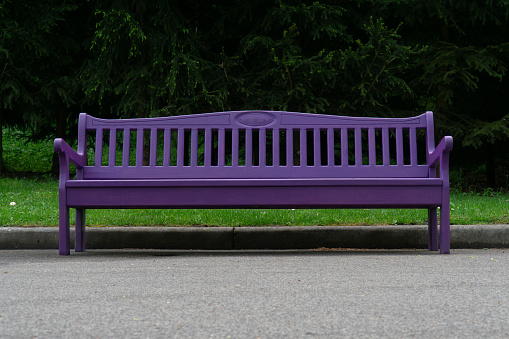 purple bench in the park