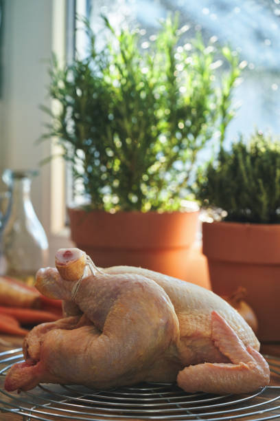 Preparing Roasted Chicken with Root Vegetables in Domestic Kitchen
