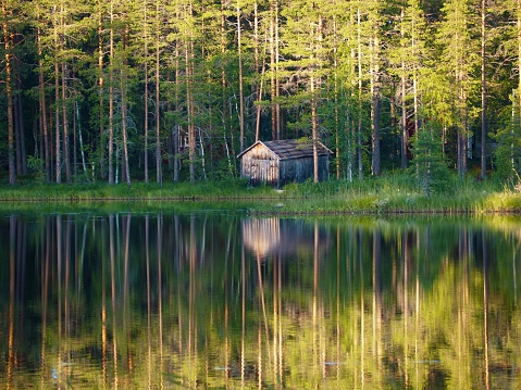 Norwegian Wooden House in the Forest, Location: Oslo, Norway. 