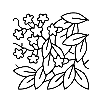 bignonia capreolata line icon vector. bignonia capreolata sign. isolated contour symbol black illustration