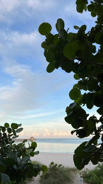 istock LOVELY MORNING AT THE BEACH 1417438106