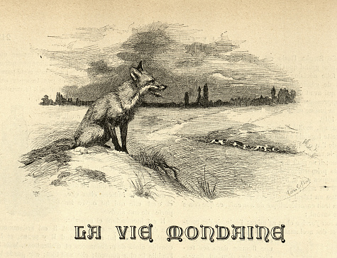 Vintage illustration, Crafty fox watching hounds run in wrong direction, 19th Century, La vie mondaine, worldly life